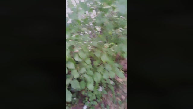 SlutboyBen  06-08-2022